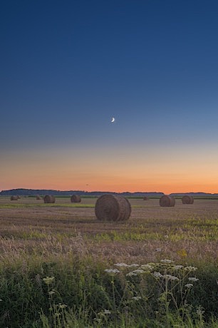 11-la-nuit-tombe-aout-2016-hdr_460px.jpg