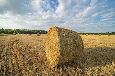 14-la-clemenderie-fin-juillet-2017_460px.jpg